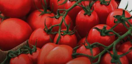 Аграрии Липецкой области собрали 117 тыс. тонн овощей!