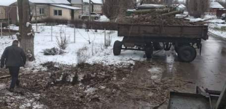 В Ельце продолжают спиливать тополи