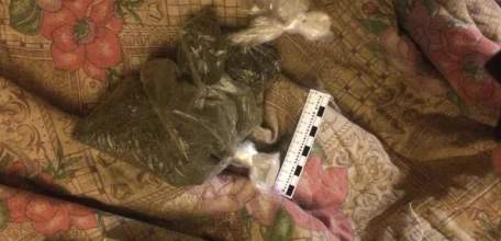 Ельчанин нарвал дикорастущей конопли и теперь его ждёт суд