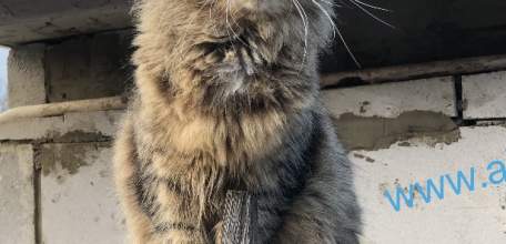 Плата за холодную воду в России повысится вдвое для жильцов без счетчиков!