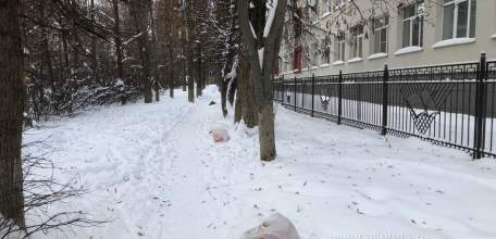 У лицея №5 в Ельце хам привык оставлять мусорные пакеты вдоль тропинки, чувствуя безнаказанность!