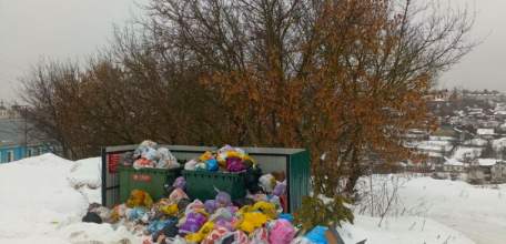 Да сколько можно?????!!!! Долго будет продолжаться беспредел в Ельце с несвоевременным вывозом мусора?