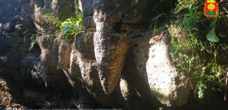 Липчанин Владимир Корзинкин снял 20-часовой сериал о пещерах региона. Самая протяжённая находится под Ельцом - 250 метров!