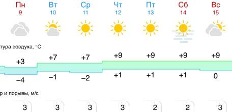 Прогноз погоды на следующую неделю в Ельце. Солнечно!