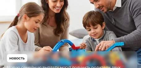 Семьи с детьми из Липецкой области могут получить новую выплату от Соцфонда.