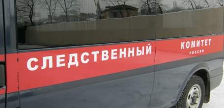 Недалеко от ранее найденной в Ельце человеческой ноги обнаружено скетелированное тело