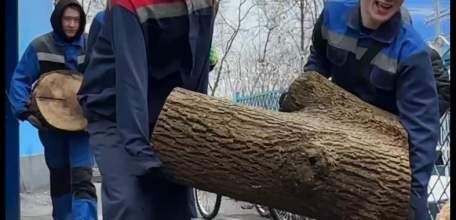 Как и планировали, сегодня провели очередной субботник на старом кладбище