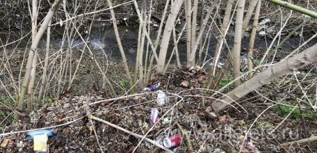 Субботник прошёл в Ельце, а мусор остался!