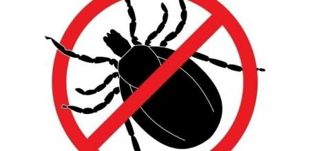 ВНИМАНИЕ! Обработка от клещей в Ельце!