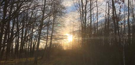 Сегодня в Ельце ожидается сильный ветер, дождь и снег!