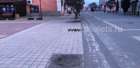 Туристический город&hellip; С зияющими пустотами от деревьев в самом центре города!