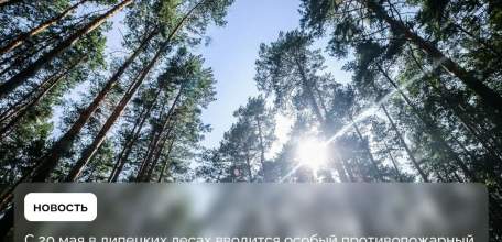 С 20 мая в лесах региона вводится особый противопожарный режим. Он будет действовать до 30 сентября