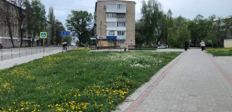 Вниманию федеральных и региональных льготников! Новые поступления в аптеки "Липецкфармации"