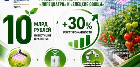 &laquo;Елецкие овощи&raquo; станут умнее
