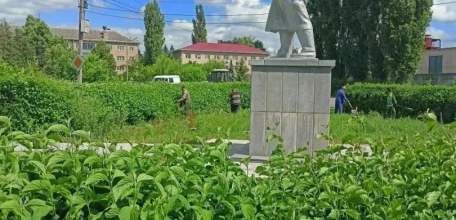 В эфире новости зелёной моды: сквер Ленина на пике стиля! Стрижка только началась!