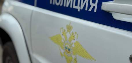 Горе-грабитель из Ельца воровал цыплят с подельником. Поймали обоих
