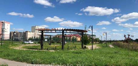 Трагедия в Ельце: 13-летний подросток погиб от паров дезодоранта